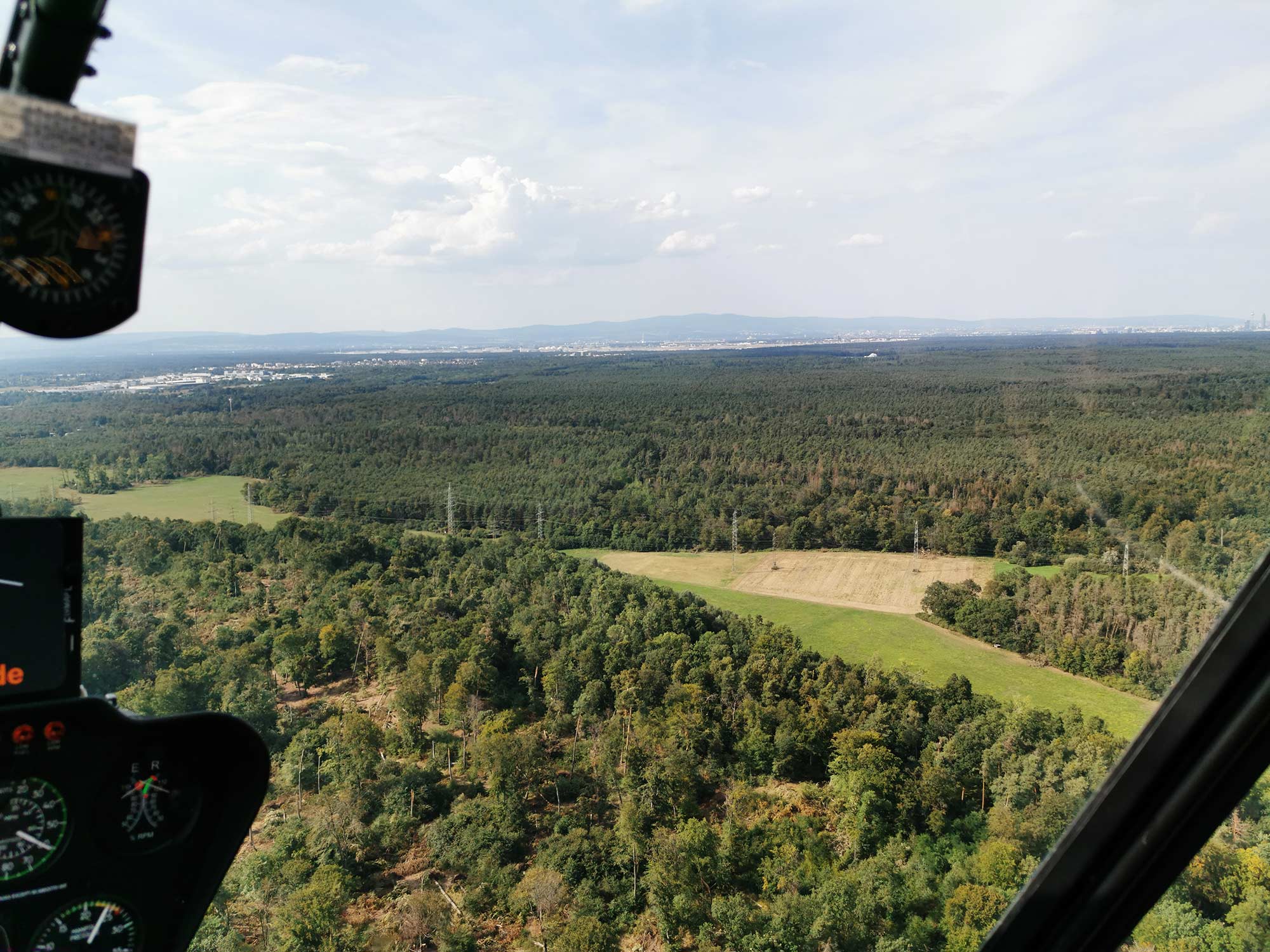 Frankfurt greenbelt - trees - forest - nature - RheinMain - aerial tour