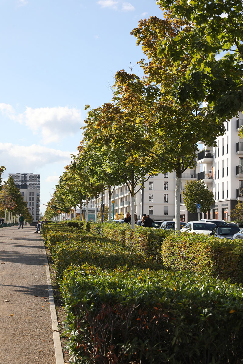Living in the Green - Frankfurt - new residential area European Quarter