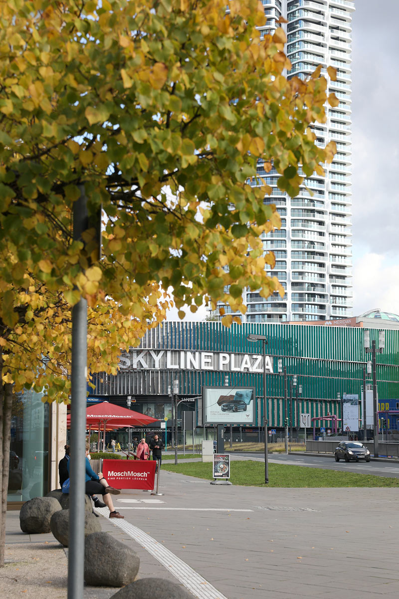 Skyline Plaza Shopping Center