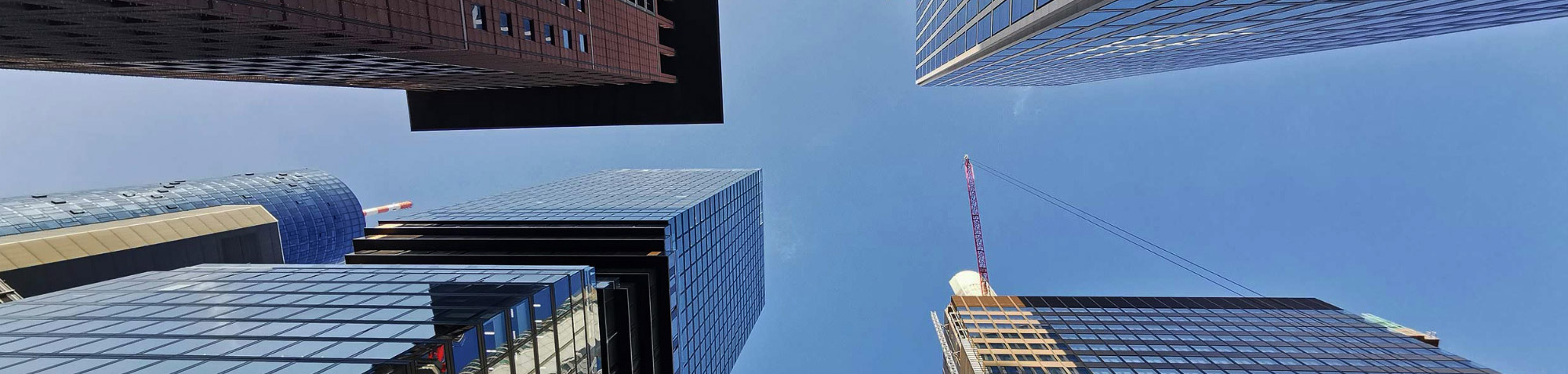 Frankfurt skyscrapers - above the rest - CBD skyscrapers