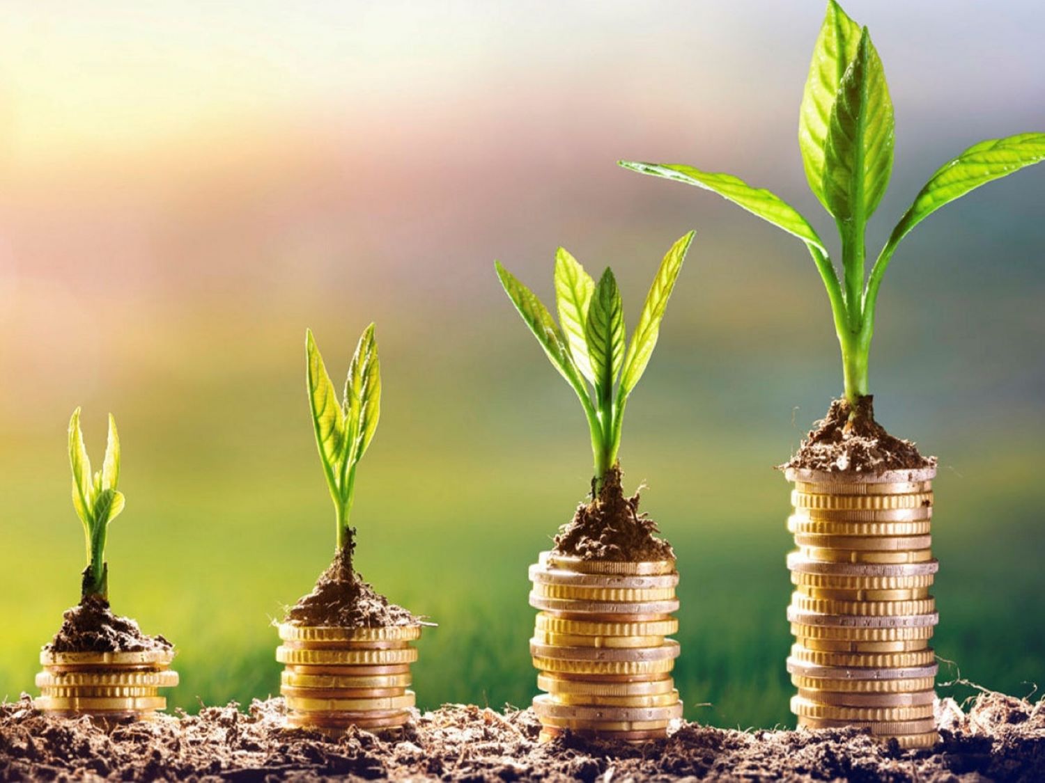 esg-sustainable-investments-green-finance