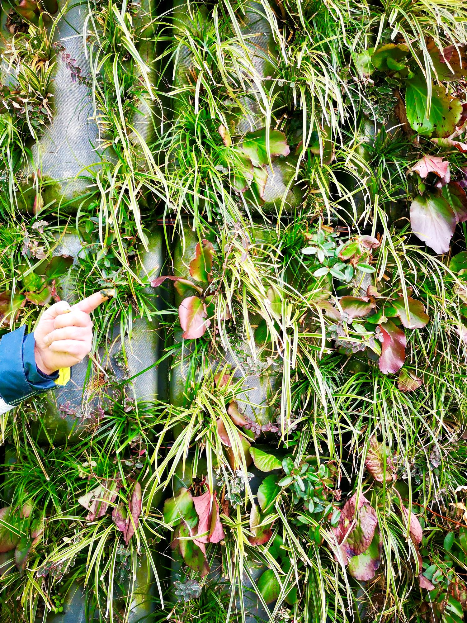 plant-wants-eden-tower-frankfurt-urban-greening