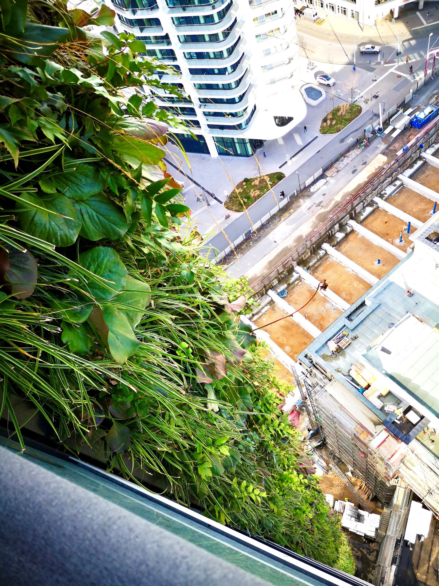green-facade-eden-tower-frankfurt-urban-gardening
