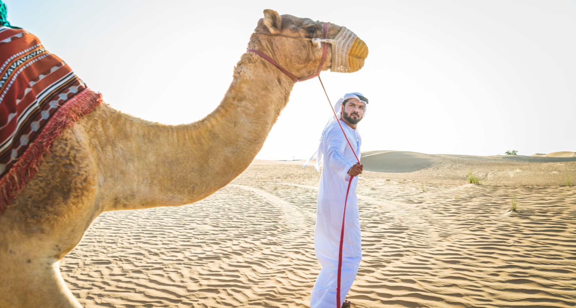 Handsome middle eastern man with kandura and gatra riding on a camel in the desert