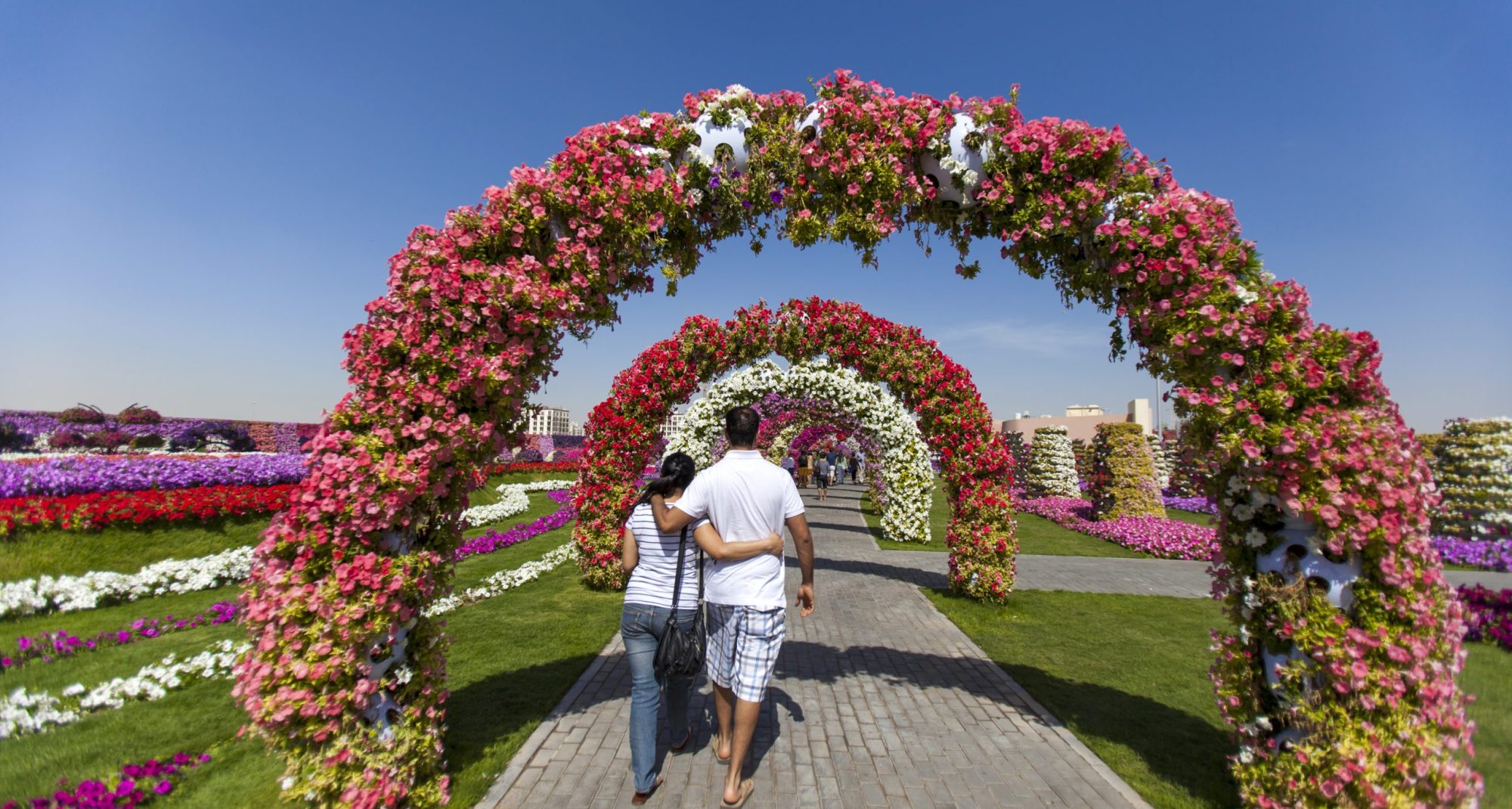 couple-walking-in-the-miracle-garden-in-dubai-uae-2025-03-09-20-24-34-utc